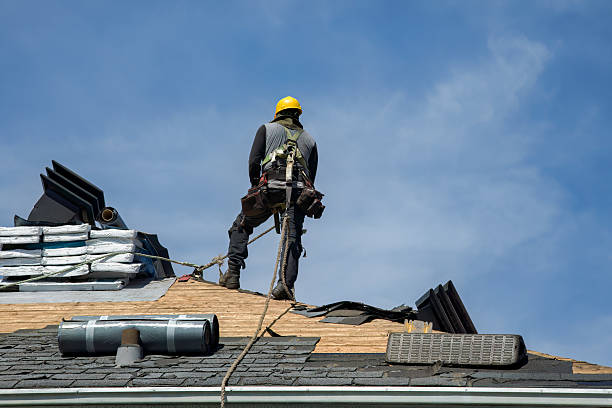 Professional Storm Damage Roof Repair technician working in Halstad, MN